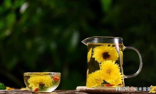 菊花茶的作用和功效 喝菊花茶有什么作用和功效