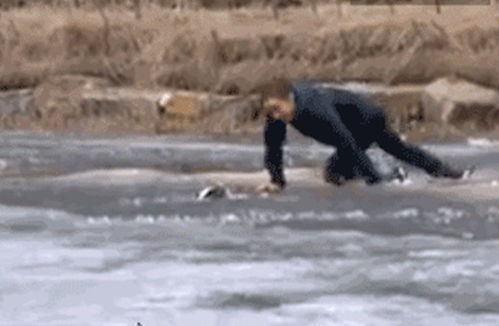 狗狗不小心掉到河里,主人不顾生命危险救援,画面让人心是揪着的