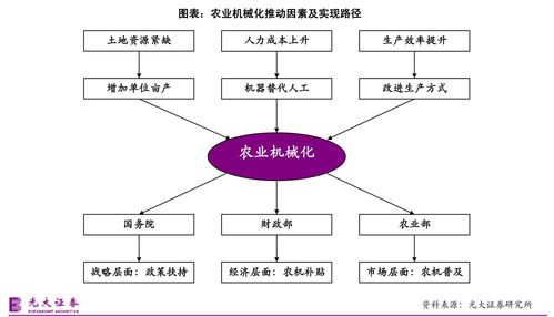 300656属于什么股票