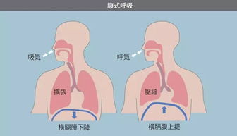 什么是腹式呼吸?有什么好处?