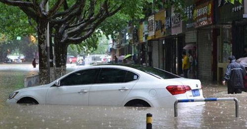 为啥下暴雨时车主宁让车泡水里也不挪车 保险公司 算你厉害