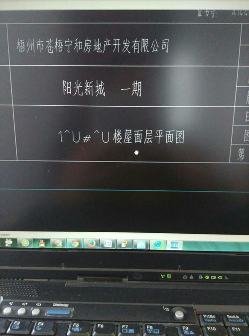 图中1u#u是什么意思？