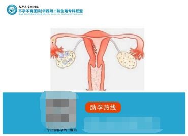 上海白玉兰不孕不育医学研究院：多囊 输卵管阻挡求子路，选择白玉兰晋升妈妈