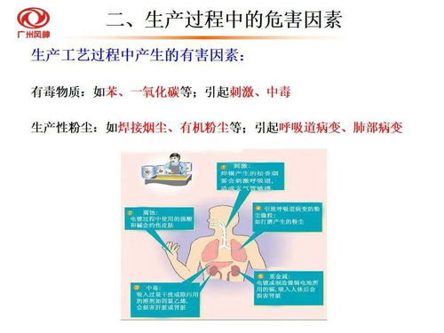 职业健康知识及劳保用品使用知识培训PPT