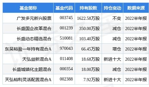 广发聚丰股票基金