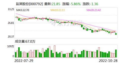 股票的2022年度利润什么意思