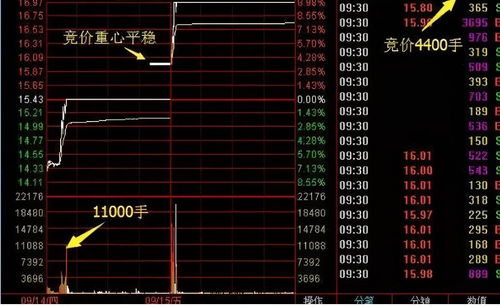 为什么有些股票，今天买是涨停？可明天又跌停了？