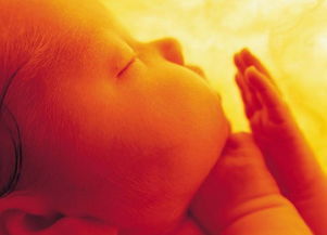 胎儿死胎母亲有感觉吗,五个月胎儿死胎图片,死胎是什么原因造成