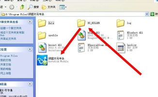 我电脑里有一个ks killer的文件打不开啊 这个ks killer是什么东东啊 