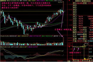 叶荣添是何许人？他投资股票吗？为什么他每发表一篇文章就有那么多股民朋友骂他？