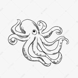 章鱼手绘线稿素材图片免费下载 千库网 