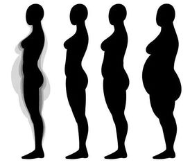 身体哪个部位胖,说明哪里有情况,肚子胖是哪里 请对照