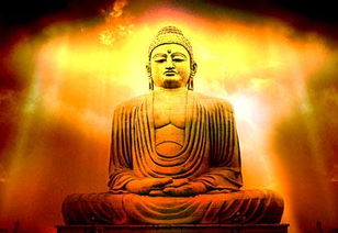 佛陀是佛教中的 神 吗 很多人都不知道他们的区别