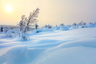 关于雪花代表着希望的诗句