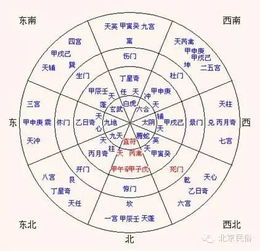 看完略知 灵棋经 河图 洛书 太极 周易 奇门遁甲 古币占卜法 龟占卜法 