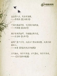 青春作文激励开头励志短句（不负青春励志短句四字？）