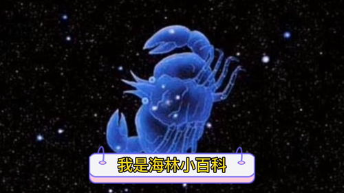 天秤 天蝎 射手 摩羯 水瓶 双鱼谁是巨蟹最亲密对象 