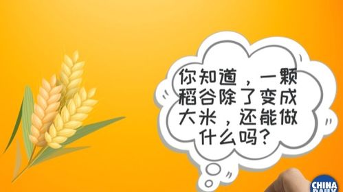 【加油奔小康 奔跑吧康康】大米变轮胎?你不是在做梦!这里的稻子会分身