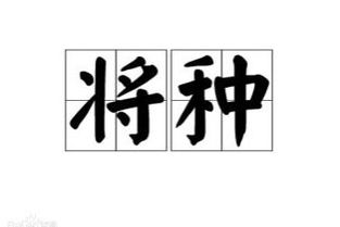 安梓硕这个名字怎么样 