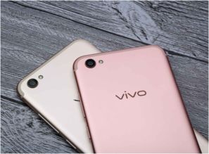 OPPOR9S和VIVOX9哪个好 是否都是主打拍照的手机 