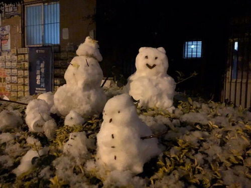 喔豁 成都人连夜堆雪人,一到早上全部洗白