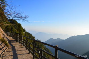 2020三清山风景区 旅游攻略 门票 地址 问答 游记点评,三清山旅游旅游景点推荐 去哪儿攻略 