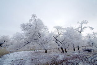 Photoshop打造唯美的冬季雪景婚片 