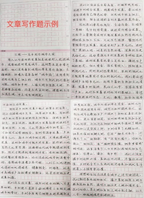 申论范文结构（申论第三题格式？）