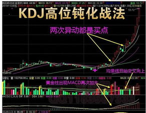 什么是KDJ指标钝化 KDJ指标钝化的表现有什么