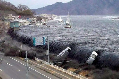 丹镇北京海啸图片