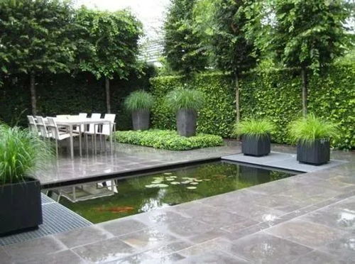 小壹分享丨如果你有个庭院,一定要造个水池
