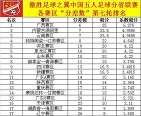 中国几大足球联赛排名表