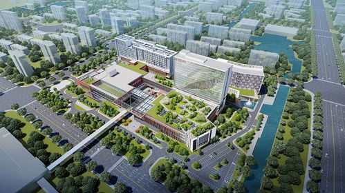 上海市瑞金医院(上海瑞金医院总部地址)