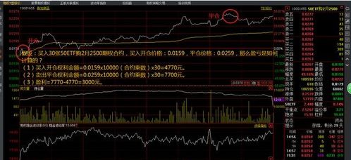 个股期权50etf一张合约多少股