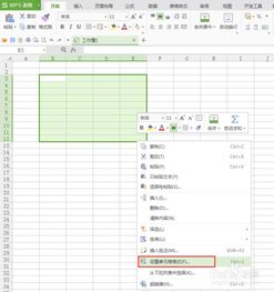 wps excel 如何去掉单元格边框 