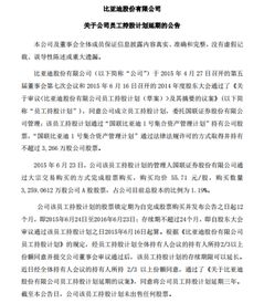 员工持股自公告日锁定十二个月是什么意思?