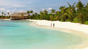 马尔代夫维斯瑞岛浪漫的度假胜地（马尔代夫 维拉岛）