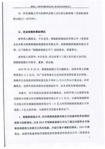 快看 银隆新能源公布魏银仓方面专家论证意见书