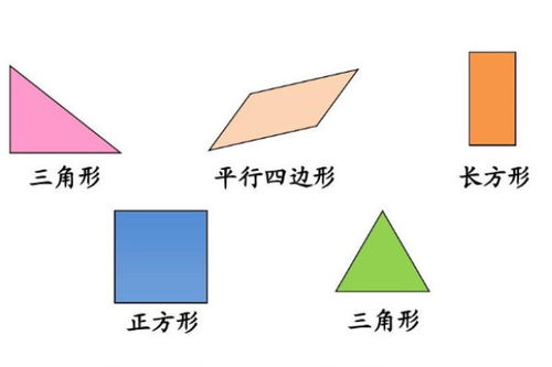 平面图形和立体图形的区别