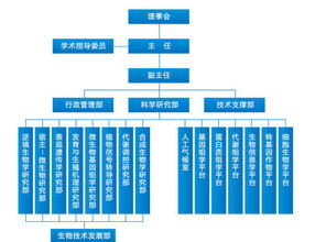上海化工研究院的组织结构 