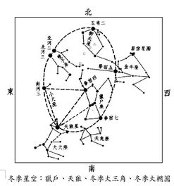 图中圈出的天蝎座的三颗星星名称是什么 心宿二和金星的位置关系能讲下吗 