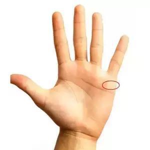 教你如何看自己手相,简单易懂辨别6大手纹线 