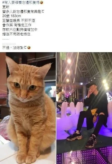 养猫后儿子浑身过敏,狠心妈妈让孩子搬出去住,你认同吗