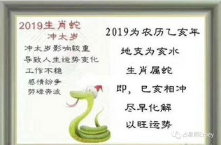 生肖猪,虎,猴,蛇注意啦 ezoey新年太岁符接受预定 符法 