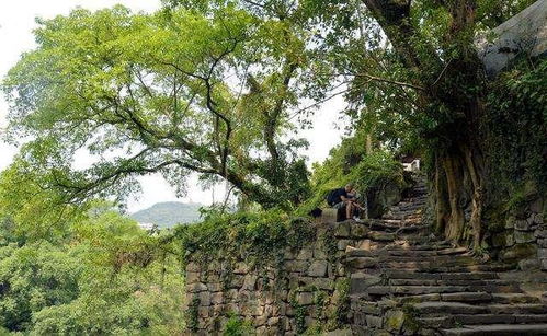 距重庆城区108公里处,藏有一座1300年古镇,电影 失孤 拍摄地