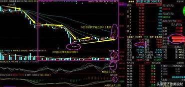 军工龙头股票是哪些？