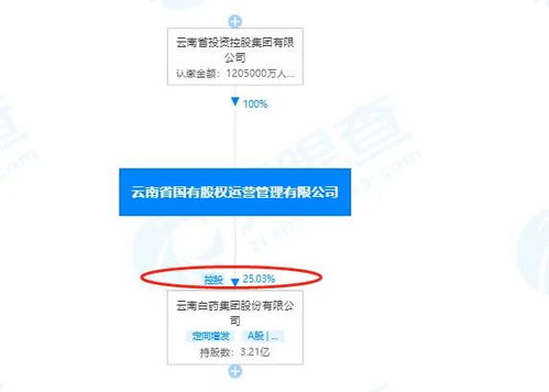 入股和股票是怎么入股？什么是股票