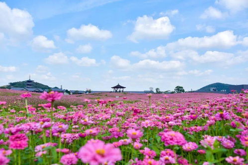 拈花湾锡马参赛员门票享半价活动来啦