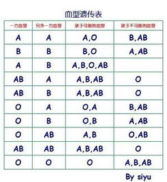 父母是A型和O型,小孩应该是什么血型 