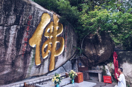 中国最 佛系 的寺庙,成网红景点却坚持不收门票,还送游客香火 